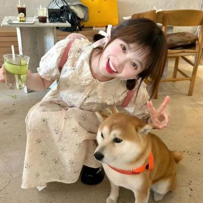 在我姐姐的婚纱里