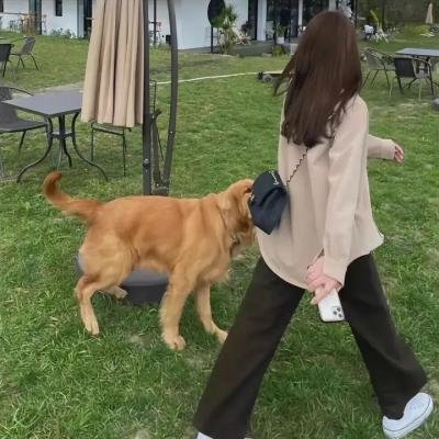 布莱恩的一生